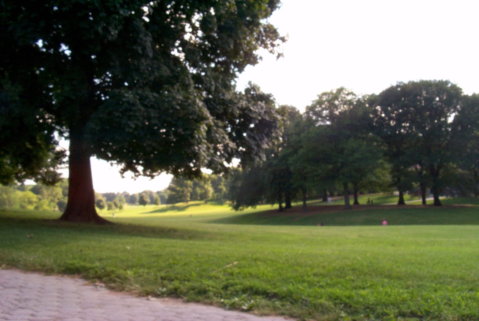 Prospect Park, New York City